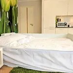 Scandian - Hub Daire Tallinn